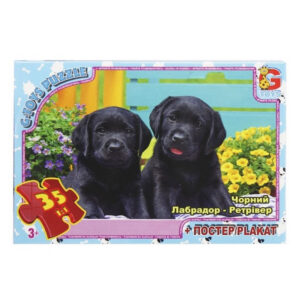 Дитячий пазл "Домашні улюбленці" AN145 постер 35 елементів