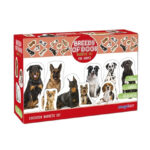 Дитячий розвиваючий набір магнітів "Породи собак" ML4031-20EN 24 фотомагніти